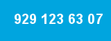 929 123 63 07 929 123 63 07